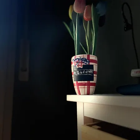 Séjour chez l'habitant A Casa Di Gia Gia