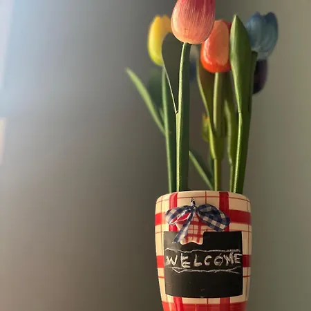 A Casa Di Gia Gia * Boloňa