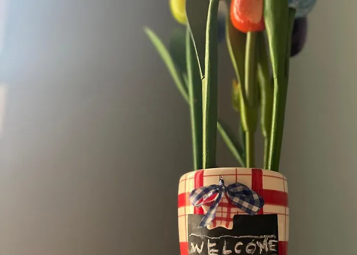 A Casa Di Gia Gia * Bologna